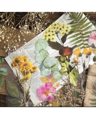 1 Paket - Eğrelti Otu Sticker