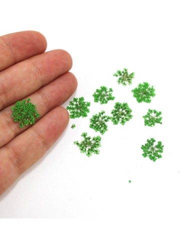 Sultan Otu - Kurutulmuş Çiçek - yeşil - 10 adet