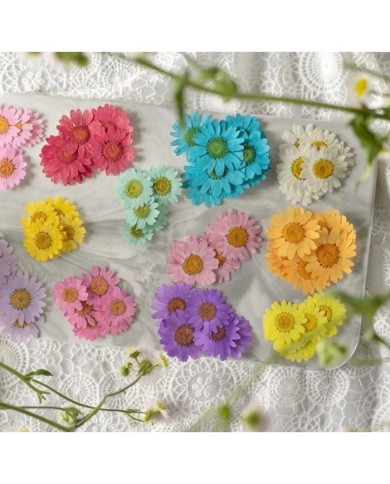 Kurutulmuş Papatya - Koyu Pembe 10 Adet