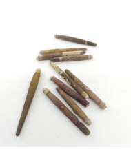 Deniz Kestanesi Dikeni - 25 Gr