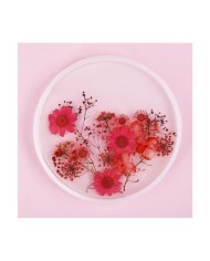 27 cm - Yuvarlak Tepsi Kalıbı