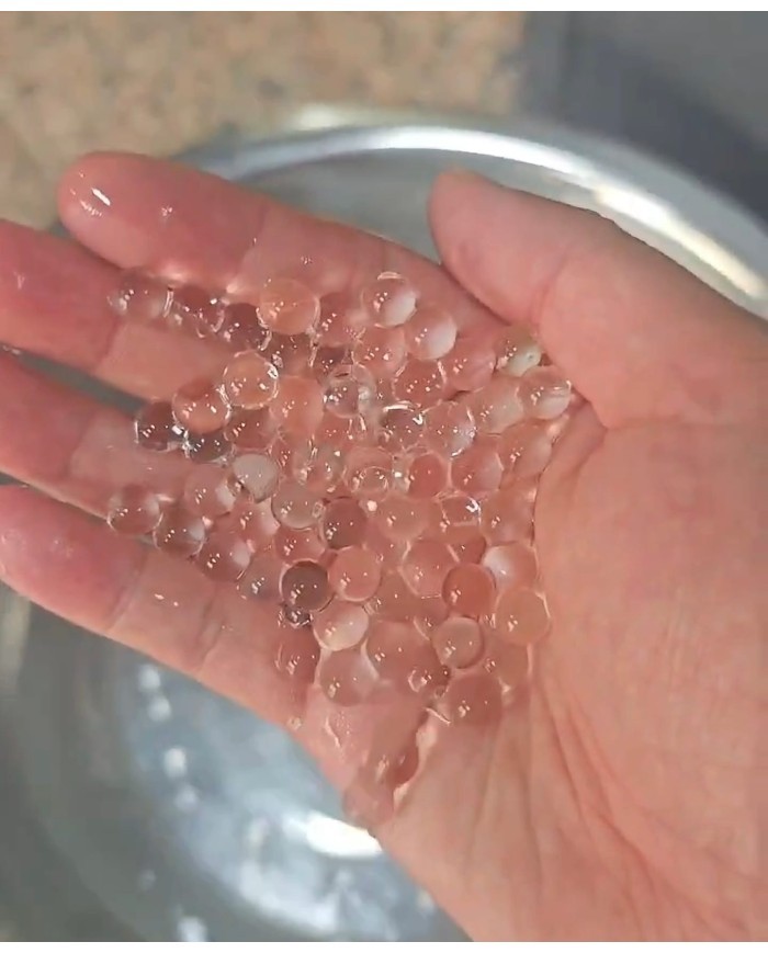 Su Maymuncuğu - Dekor Ürünü - 10.000 Adet