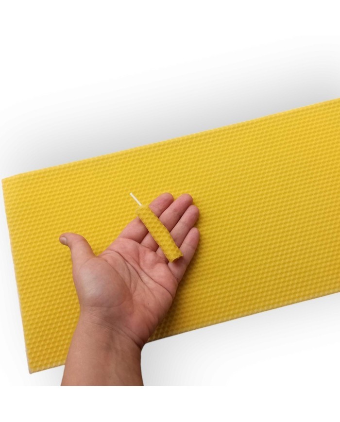 Petek Bal Mumu - 20x40cm - 1KG