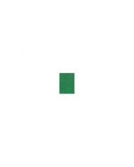 YEŞİL KADİFE TOZU