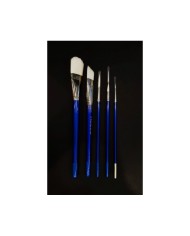 5'Lİ FIRÇA SETİ MODEL:3