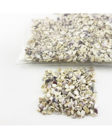 Deniz Kabuğu Kırığı - Renk Seçmeli - 25 gr