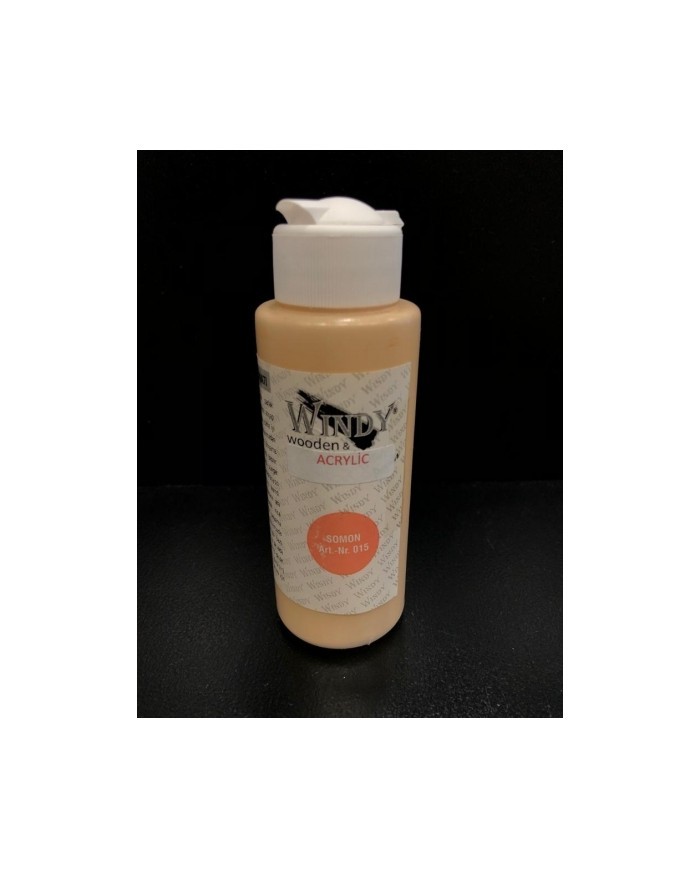 WİNDY AKRİLİK BOYA - SOMON 70 ML