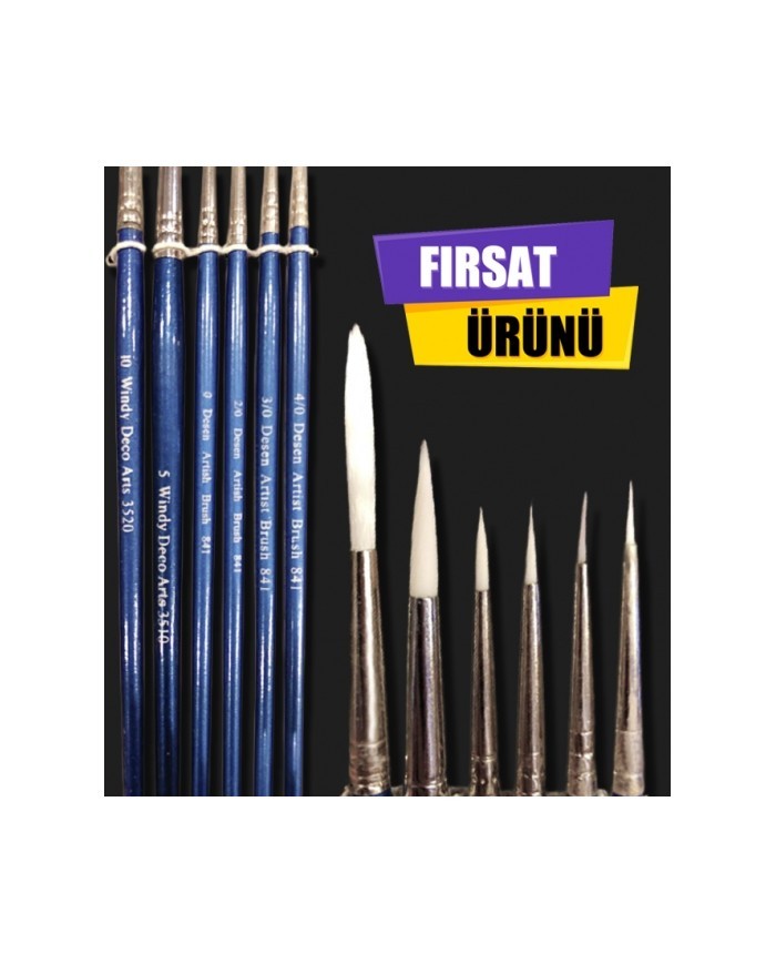 6'LI FIRÇA SETİ MODEL:4