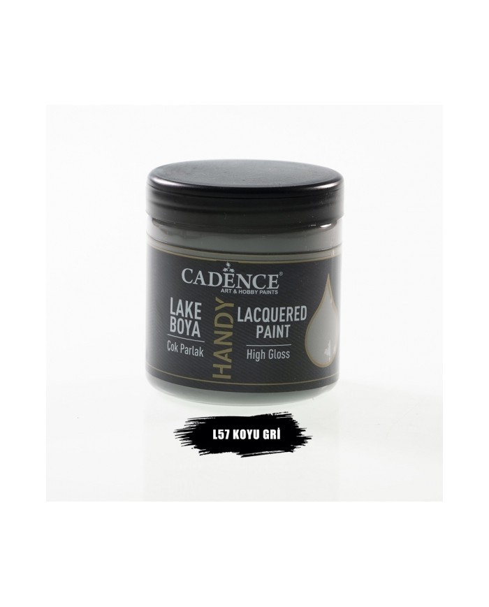 Cadence Handy Lake Boya L57 Koyu Gri (250ml)