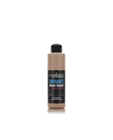 AW16 Karton Ambiante Islak Zemin Boyası 250ML + Katalizör 10GR