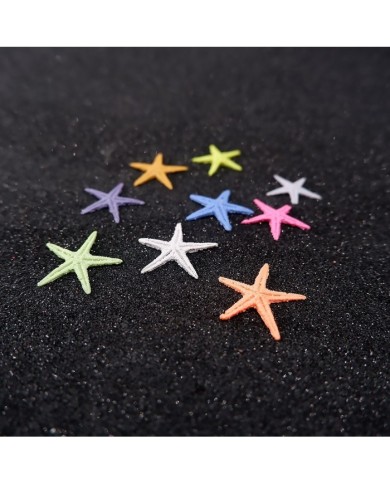 Renkli Deniz Yıldızı