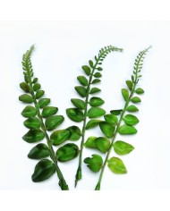 Yapay Yaprak Gerçek Görünümlü