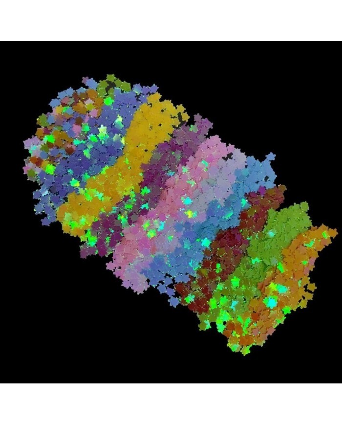 Epoksi Süsleme Pulu - Kaplumbağa