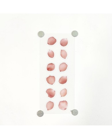 Reçine Epoksi Sticker - Yaprak