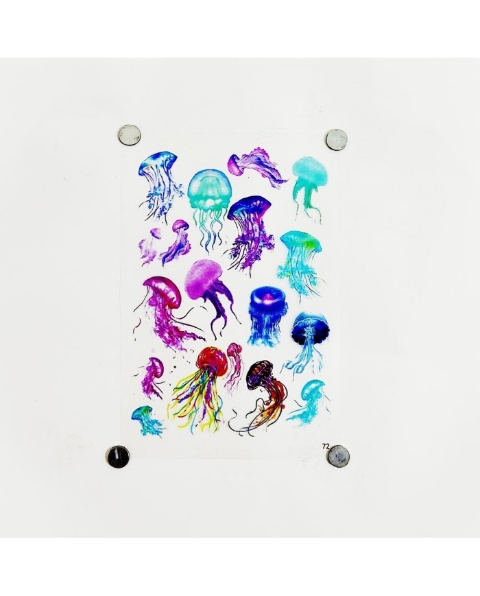 Reçine Epoksi Asetat - Denız Anası