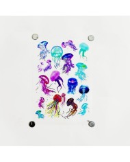 Reçine Epoksi Asetat - Denız Anası