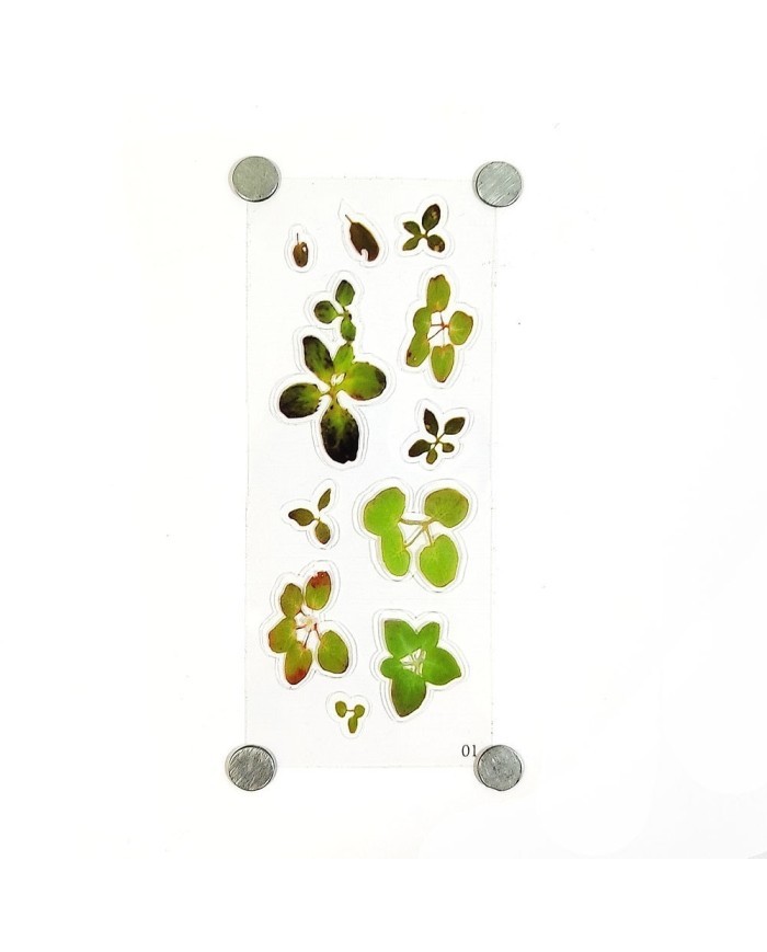 Reçine Epoksi Sticker - Yaprak 5