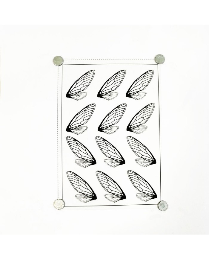 Reçine Epoksi Sticker - Kanat 2