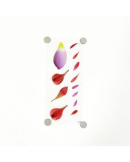 Kuru Çiçek Reçine Epoksi Sticker