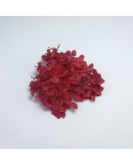 Japon Ortanca Çiçeği - Kırmızı