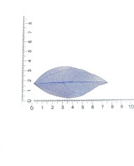 3Adet -  Kumaş Yaprak - Pembe