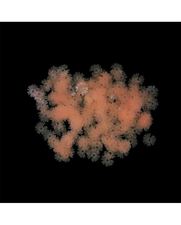 Epoksi Süsleme Pulu - Fosforlu Pembe Çiçek