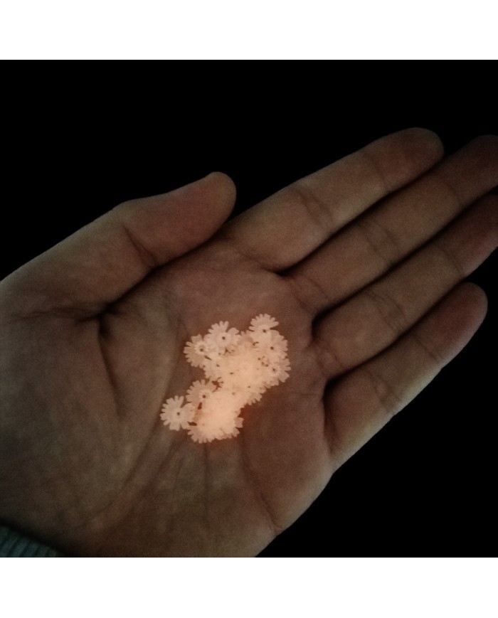 Epoksi Süsleme Pulu - Fosforlu Pembe Çiçek