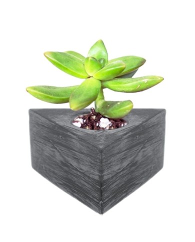 Üçgen Beton Saksı Silikon Kalıp - 142