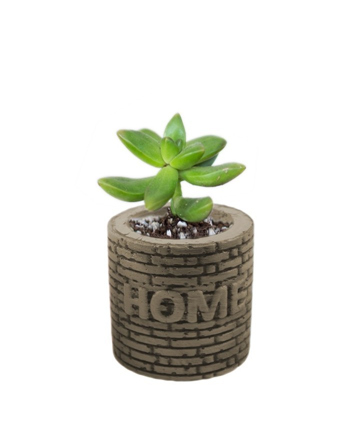 HOME Yazılı Kuyu Beton Saksı Silikon Kalıp - 156