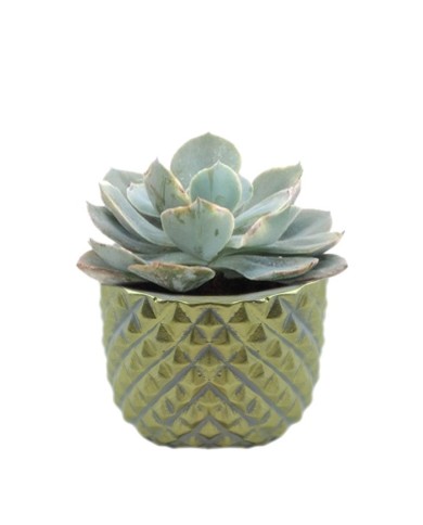 Beton Saksı Silikon Kalıp - 166