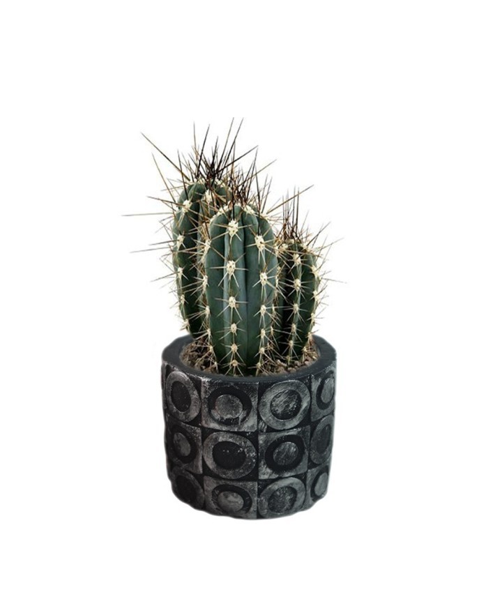 Beton Saksı Silikon Kalıp - 176