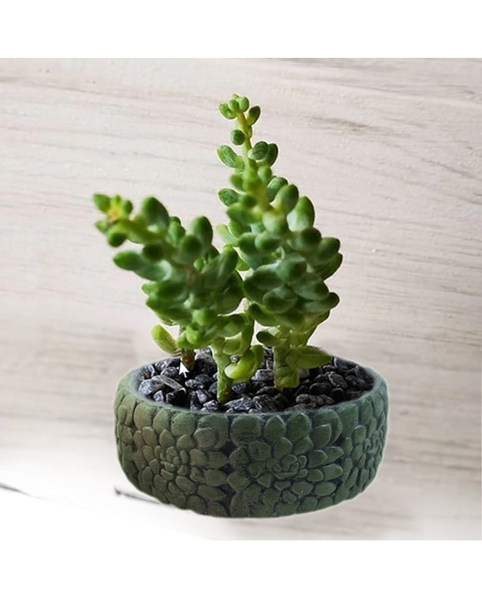 Bonsai Beton Saksı Silikon Kalıp - 184