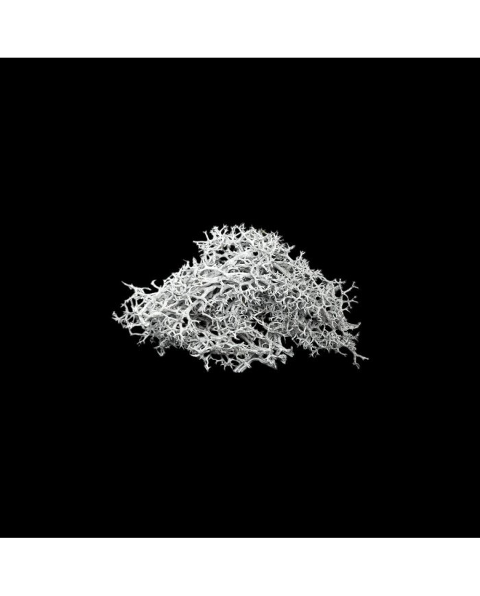 Kurutulmuş Yosun - Gri- 5 gr