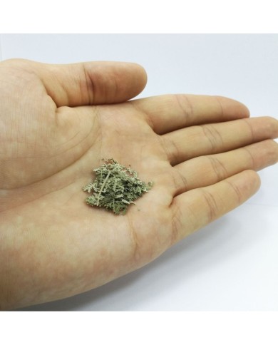 Kurutulmuş Aşk Merdiveni Mini demet 5 Adet