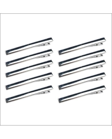 Gümüş Saç Tokası - 10 Lu Set