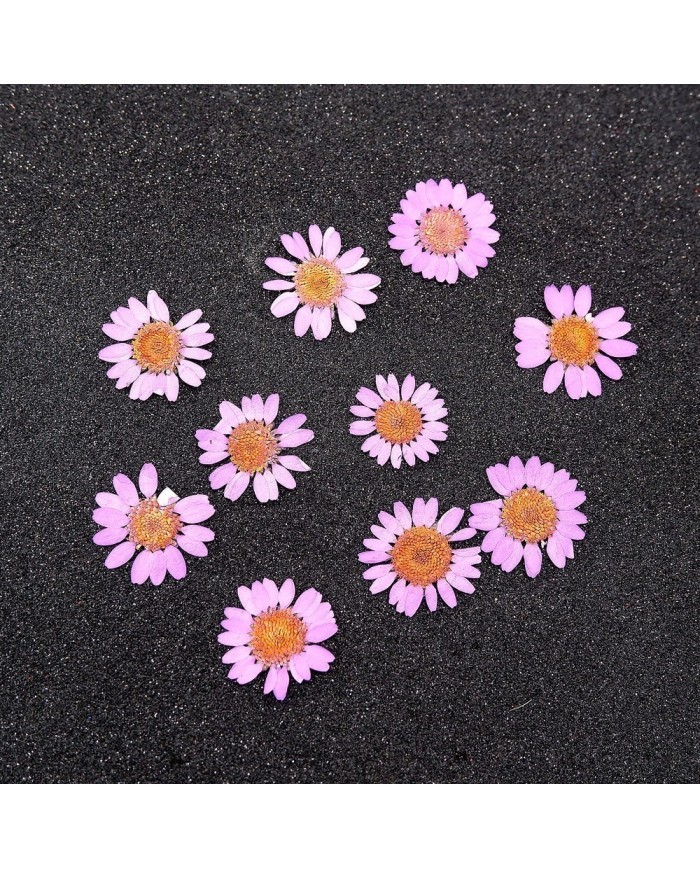 Kurutulmuş Papatya - Pembe 10 Adet