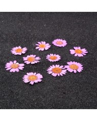 Kurutulmuş Papatya - Pembe 10 Adet