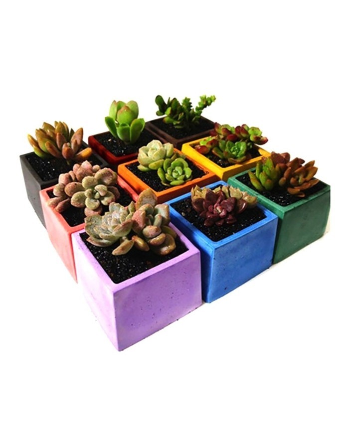 Kod:3360 - Beton Tozu Kiremit 1Kg