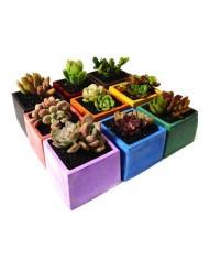 Kod:3360 - Beton Tozu Kiremit 1Kg