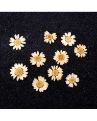 Kurutulmuş Papatya - Krem 10 Adet