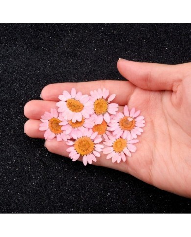 Kurutulmuş Papatya - Açık Pembe 10 Adet