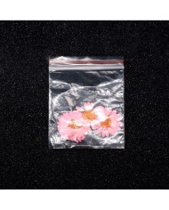 Kurutulmuş Papatya - Açık Pembe 10 Adet