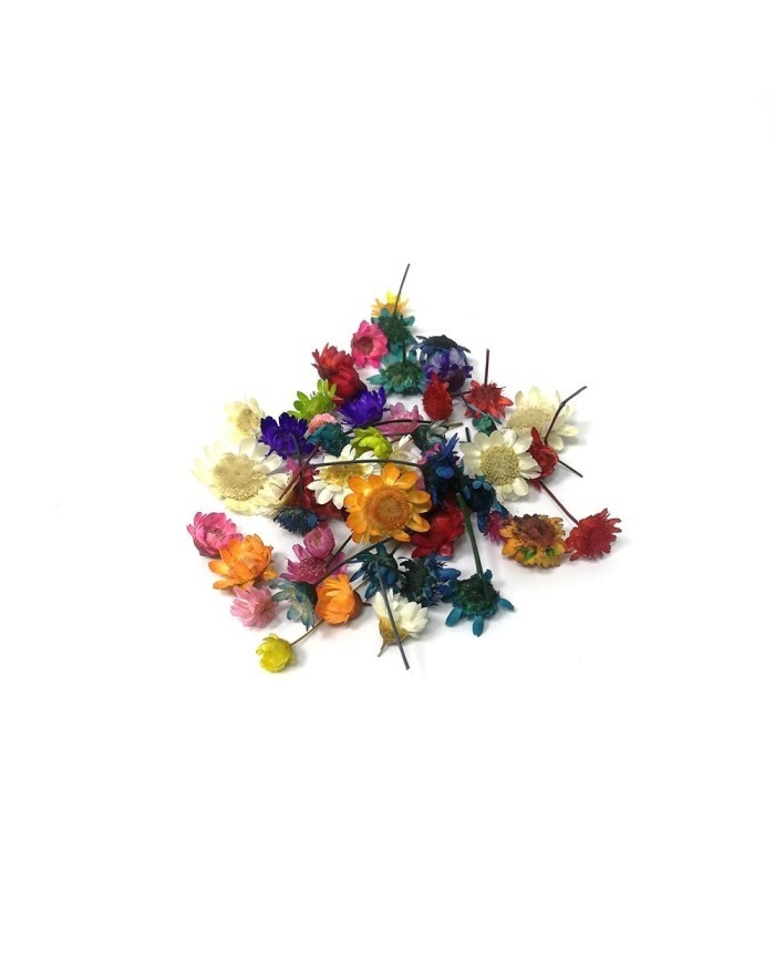 Mini Kurutulmuş Çiçekler - Mix