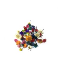 Mini Kurutulmuş Çiçekler - Mix