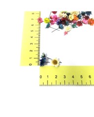 Mini Kurutulmuş Çiçekler - Mix