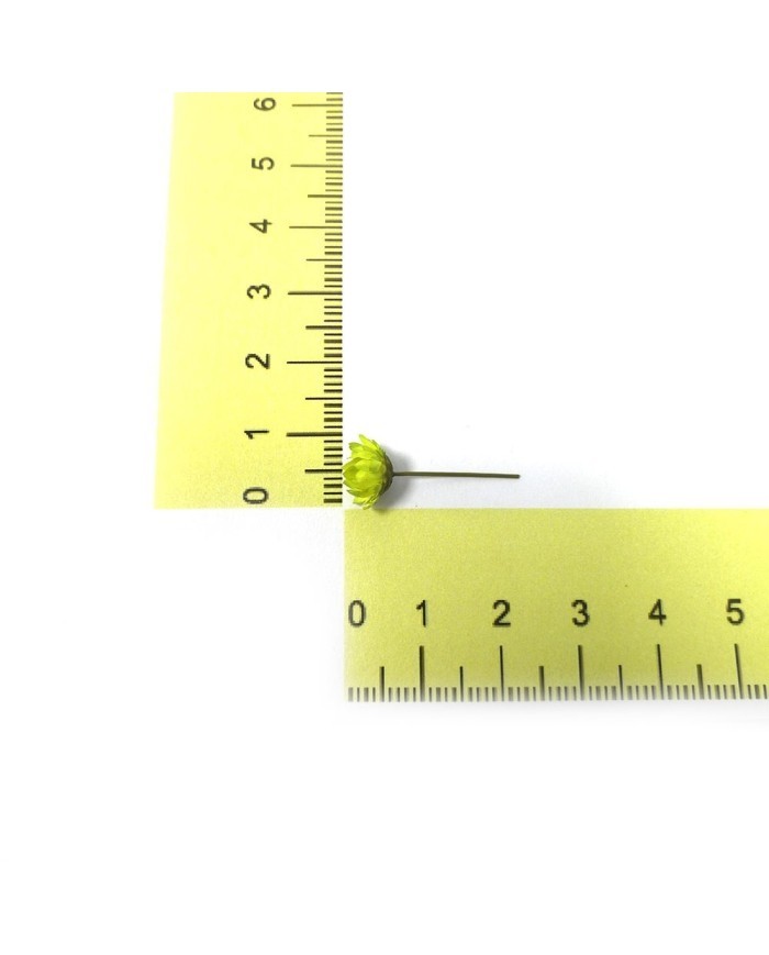 Mini Kurutulmuş Çiçekler - Mix