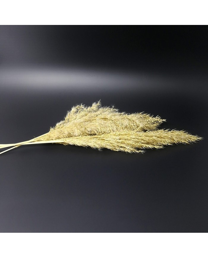 Kurutulmuş Çiçek - Ot