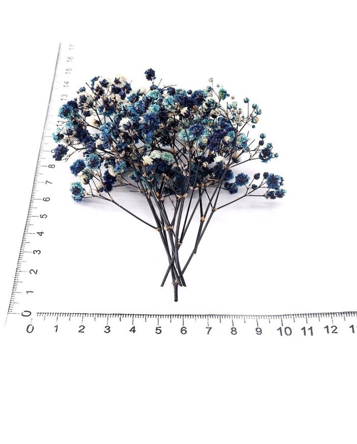 Şoklanmış Pıtırcık Kuru Çiçekler - Mavi Tonları - Mini demet