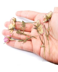 KURUTULMUŞ GÜL - 5 ADET