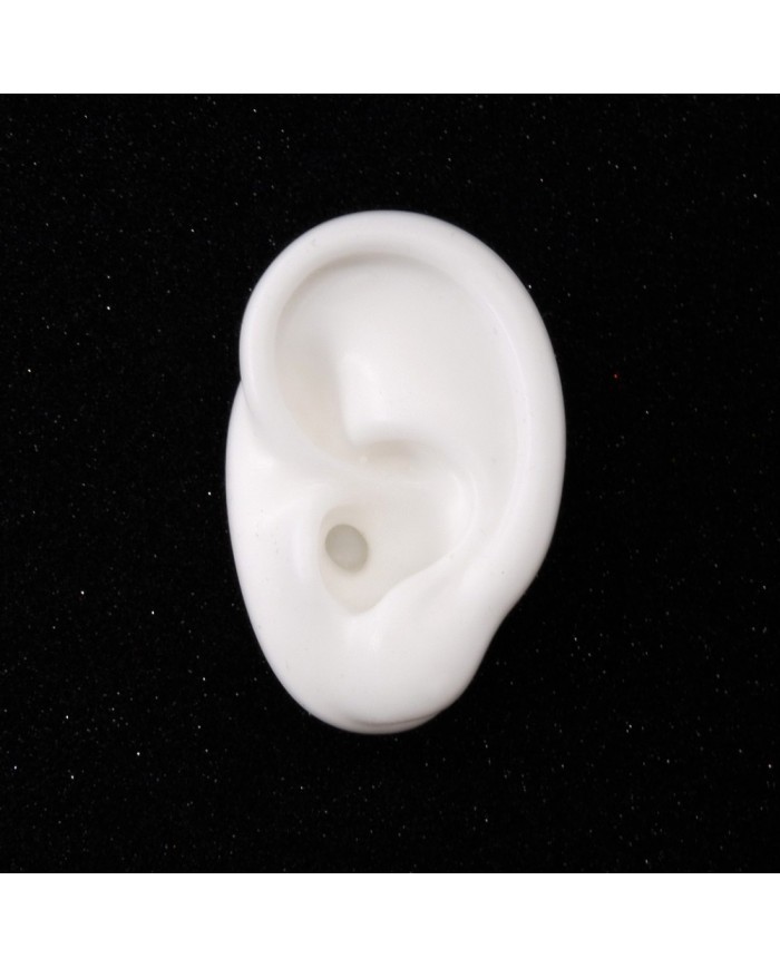 SİLİKON KULAK SAĞ TAKI VE BİJUTERİ KÜPE MANKENİ RENK SEÇENEKLİ